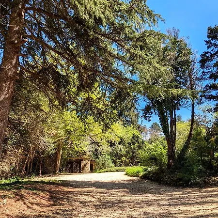 D'eau Mit Blick Auf Wasser By Interhome Apartamento *