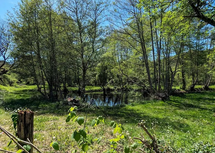 D'eau Mit Blick Auf Wasser By Interhome *
