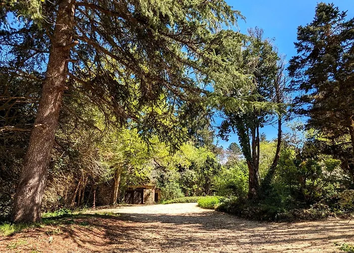 D'eau Mit Blick Auf Wasser By Interhome Apartamento *